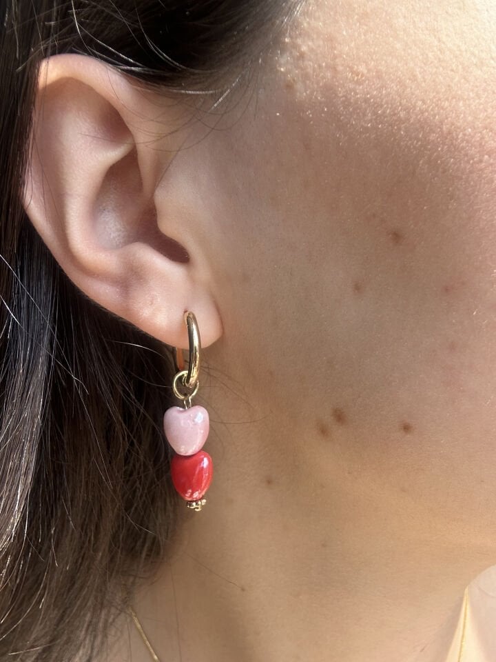 Colorful Multi Charm Earrings